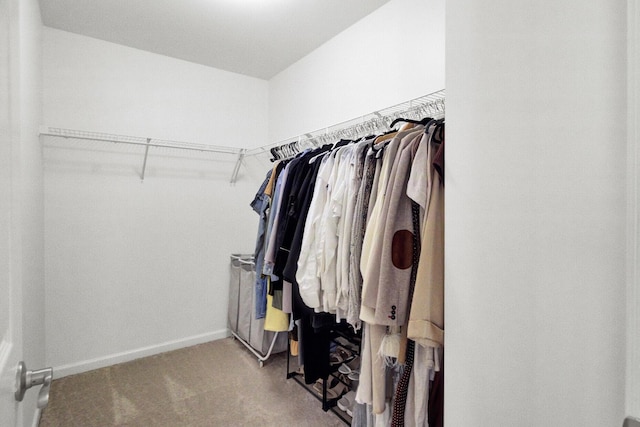 117 Red Leaf Blvd, Moncks Corner, SC 29461 - walk in closet with carpet flooring
