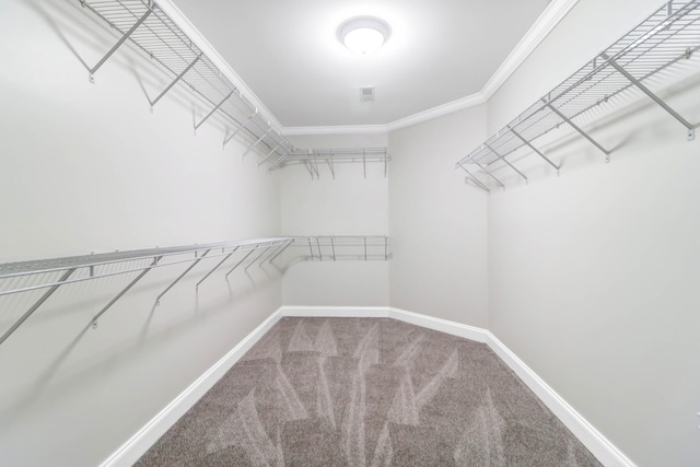 spacious closet featuring carpet