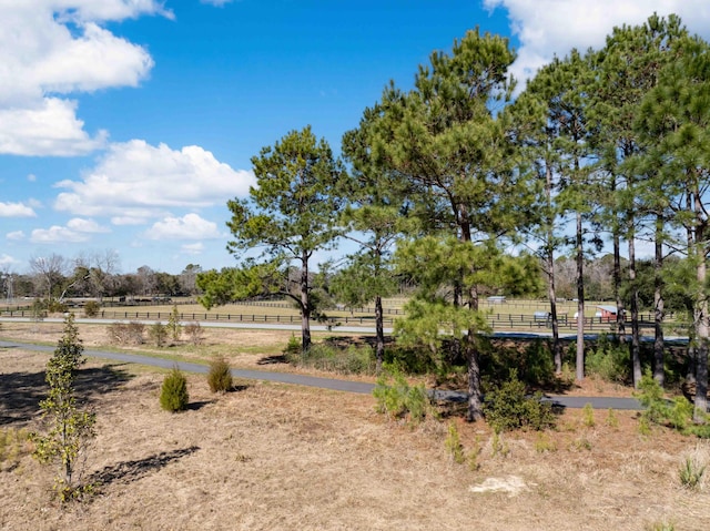 view of yard featuring a rural view