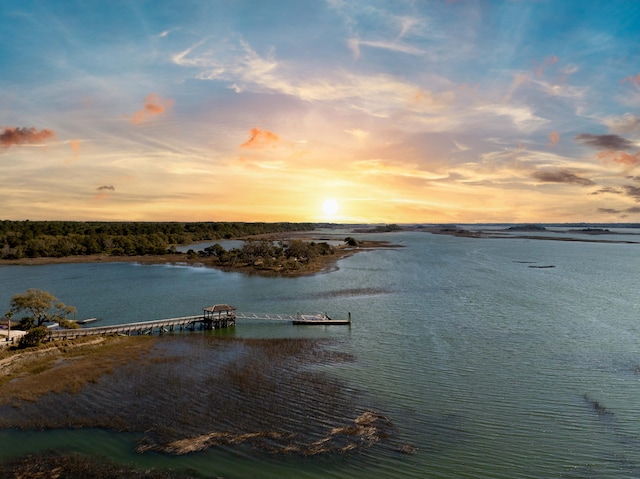 water view featuring a dock