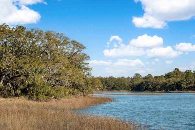 water view with a view of trees