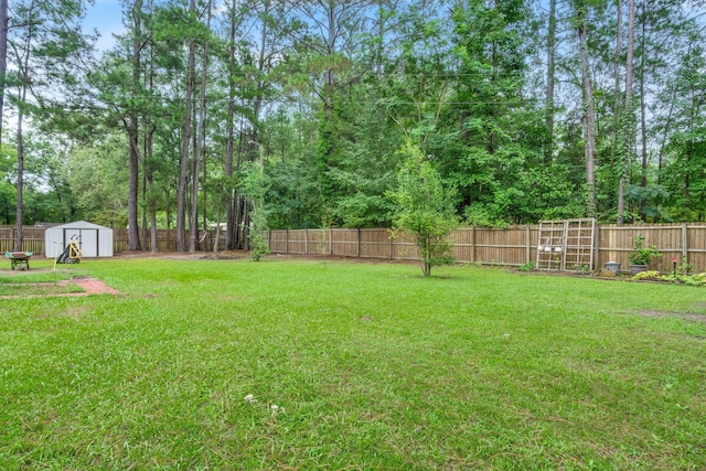 view of yard with a storage unit