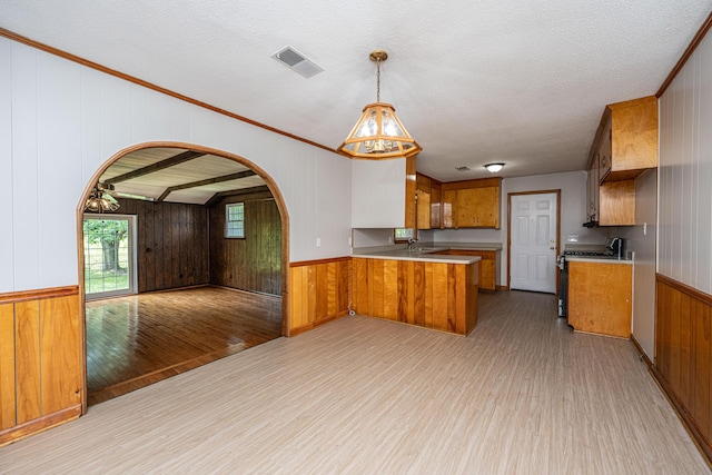 kitchen with light wood finished floors, wooden walls, brown cabinets, and open floor plan
