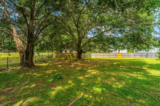 view of yard featuring a fenced backyard