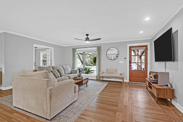 living room featuring ceiling fan, ornamental molding, and light wood-type flooring