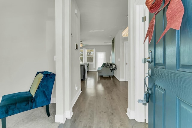 foyer featuring hardwood / wood-style floors and ceiling fan