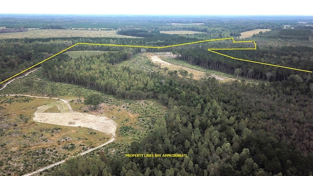 0 Fellowship Rd, Williston SC, 29853 land for sale