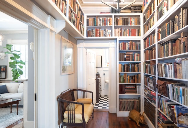 living area with dark hardwood / wood-style floors and ornamental molding