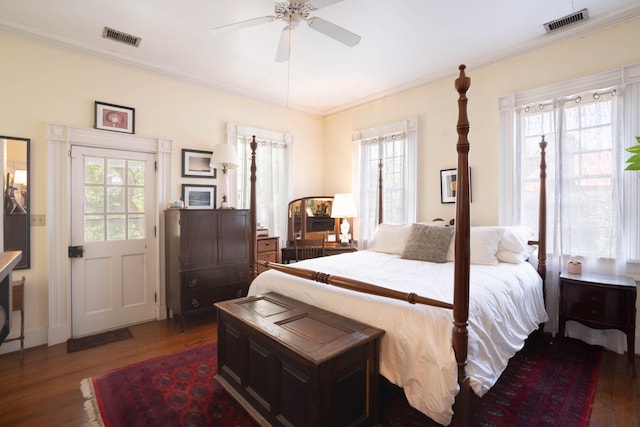 bedroom featuring multiple windows, dark hardwood / wood-style flooring, and ceiling fan