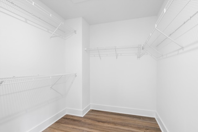 1076 Williams Rd, Charleston, SC 29412 - walk in closet featuring dark wood-type flooring