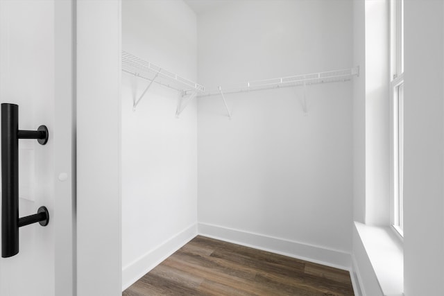 1076 Williams Rd, Charleston, SC 29412 - spacious closet with dark wood finished floors