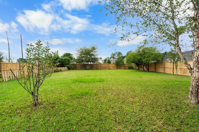 view of yard