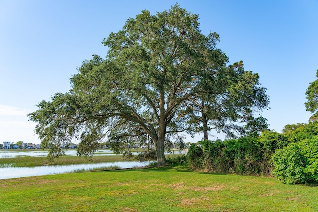 view of grassy yard with a water view