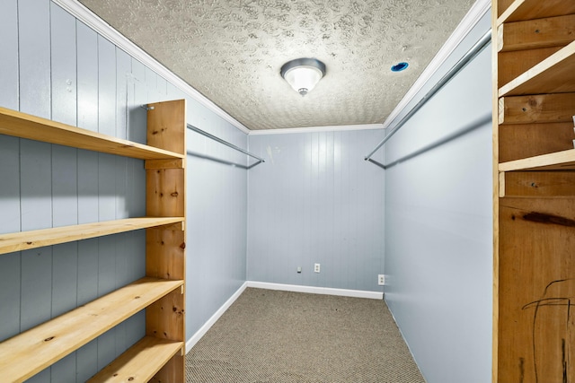 walk in closet with carpet floors