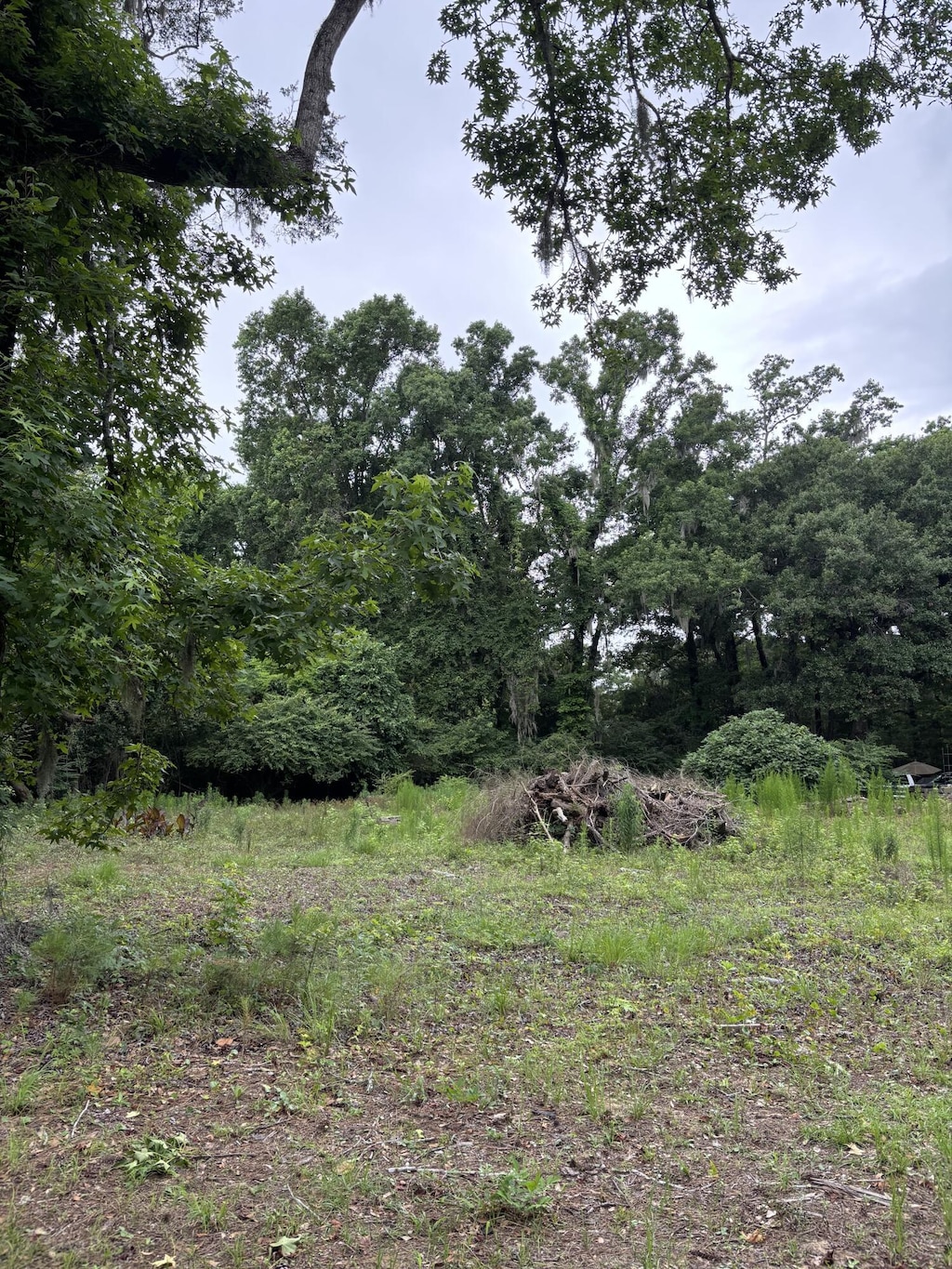 2426 River Rd, Johns Island, SC 29455