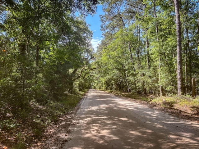 2127 Leadenwah Dr, Wadmalaw Island, SC 29487