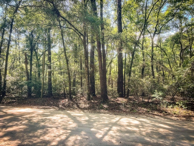 2127 Leadenwah Dr, Wadmalaw Island, SC 29487