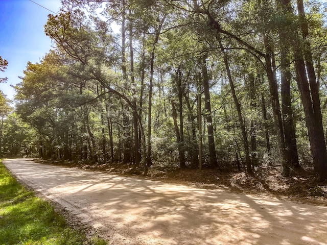 2127 Leadenwah Dr, Wadmalaw Island, SC 29487