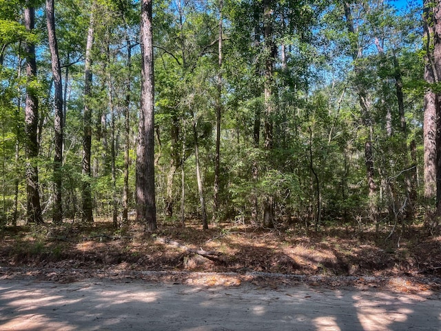 2127 Leadenwah Dr, Wadmalaw Island, SC 29487