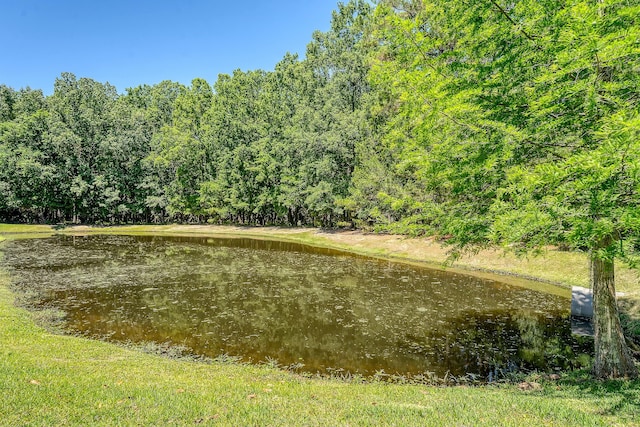 2701 Fountainhead Way, Mount Pleasant, SC 29466 - water view