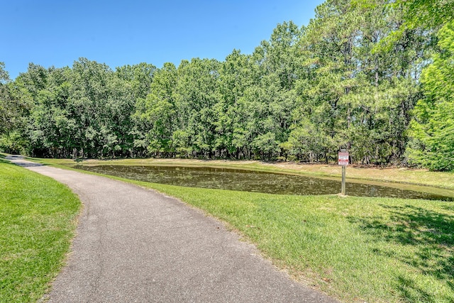 2701 Fountainhead Way, Mount Pleasant, SC 29466 - view of property's community with a yard and a water view