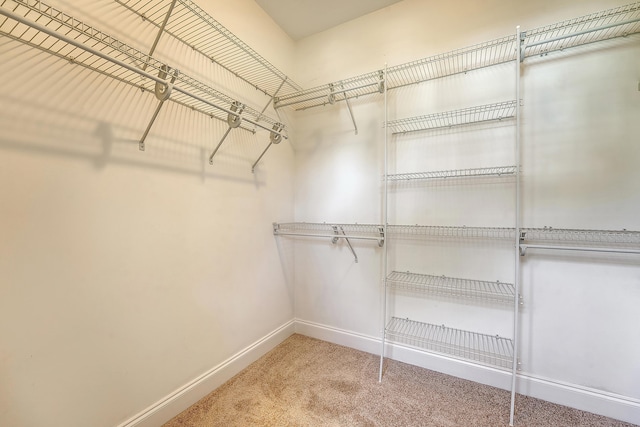 2701 Fountainhead Way, Mount Pleasant, SC 29466 - spacious closet with carpet floors