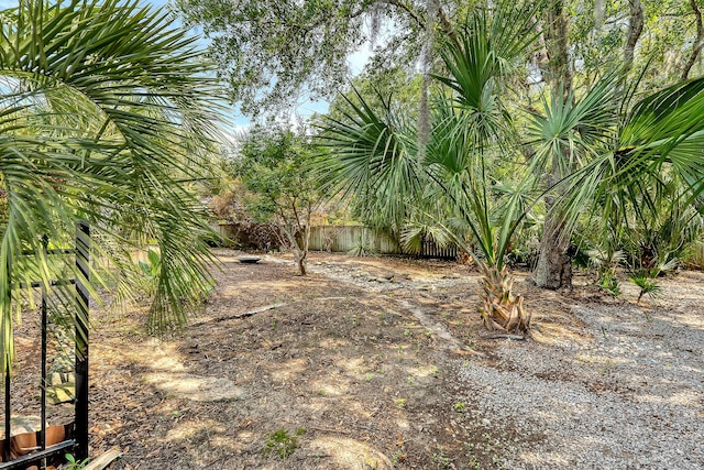 1308 Divot Ct, Mount Pleasant, SC 29466 - view of yard
