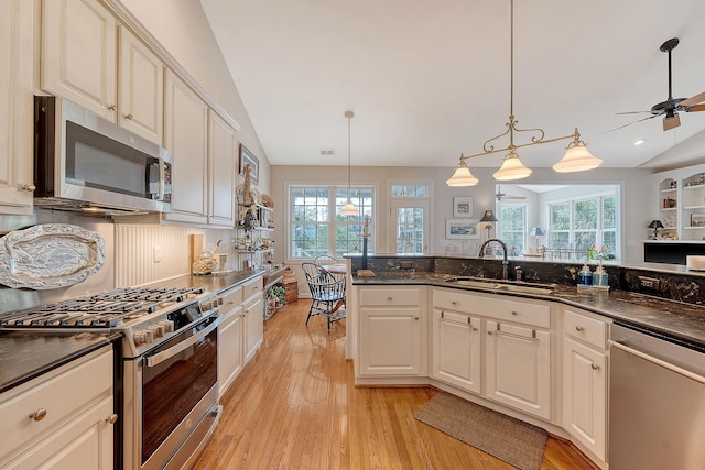 1308 Divot Ct, Mount Pleasant, SC 29466 - kitchen with appliances with stainless steel finishes, a sink, light wood-style flooring, and healthy amount of natural light
