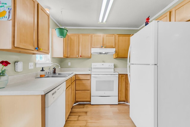 21 Rivers Point Row Apt 11C, Charleston, SC 29412 - kitchen with white appliances, under cabinet range hood, a sink, light wood-style flooring, and light brown cabinets