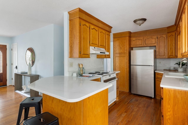 kitchen with under cabinet range hood, a peninsula, freestanding refrigerator, white electric stove, and a sink