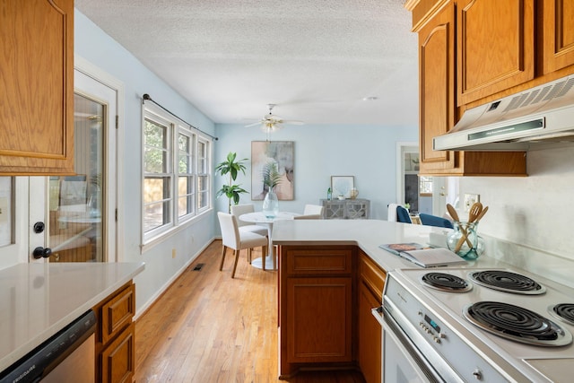 kitchen with a peninsula, electric range oven, light countertops, under cabinet range hood, and stainless steel dishwasher