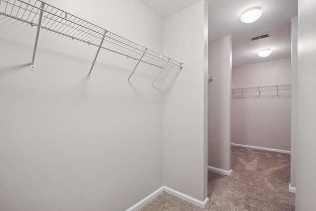 7511 Hawks Cir, Hanahan, SC 29410 - walk in closet with carpet