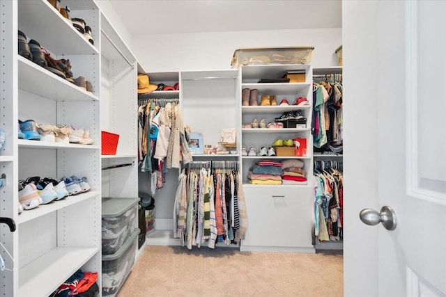 spacious closet featuring carpet