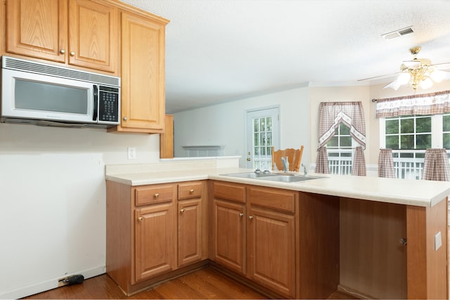 kitchen featuring plenty of natural light, kitchen peninsula, and light wood-type flooring