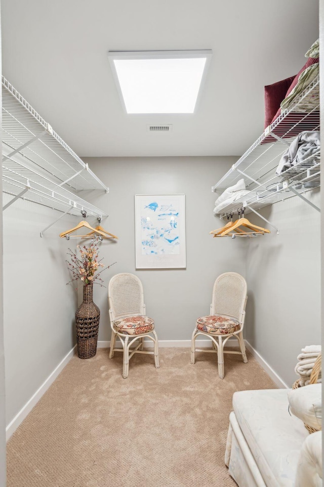 spacious closet with light colored carpet