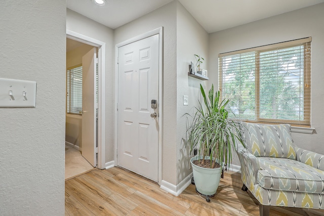 foyer entrance featuring light hardwood / wood-style flooring