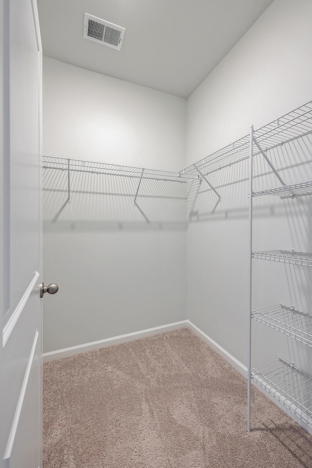 walk in closet featuring carpet flooring