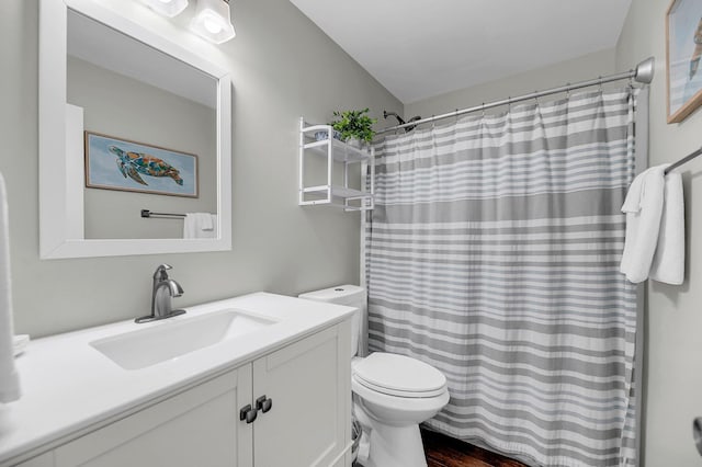 bathroom with toilet and vanity