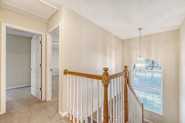1308 Wild Olive Dr, Mount Pleasant, SC 29464 - hallway with an upstairs landing, carpet, a chandelier, and a textured ceiling