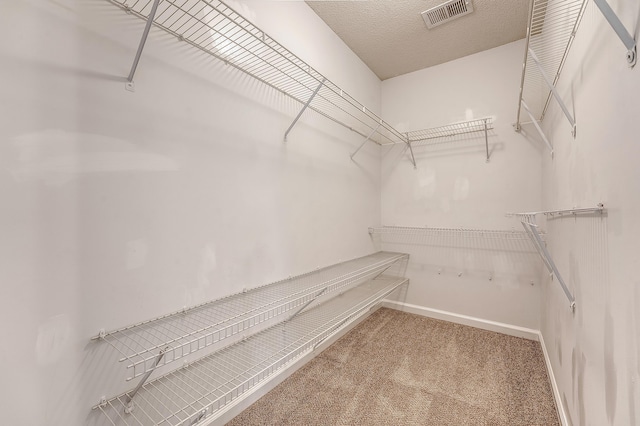 1308 Wild Olive Dr, Mount Pleasant, SC 29464 - walk in closet with carpet