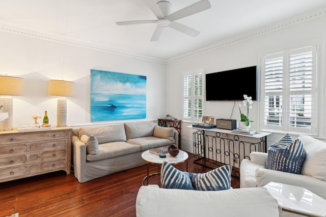 living room featuring ceiling fan, ornamental molding, and dark wood-type flooring