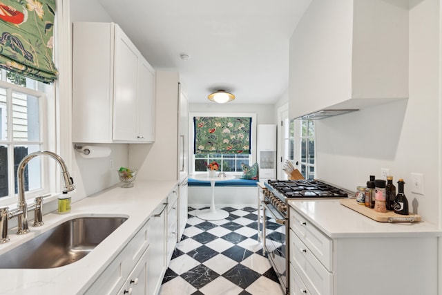 kitchen featuring sink, white cabinets, and high end stainless steel range oven