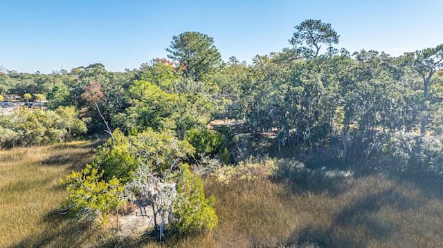 view of local wilderness