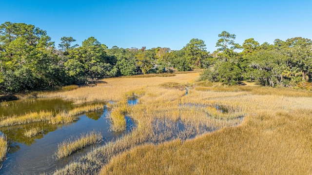 view of local wilderness with a water view