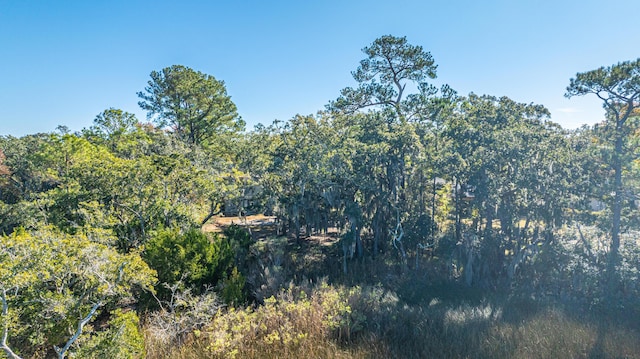 view of nature