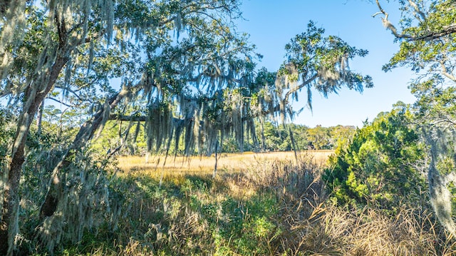 view of landscape