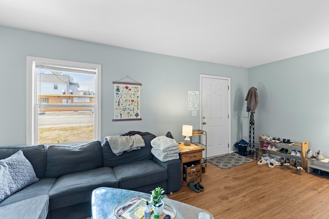 living room featuring wood finished floors