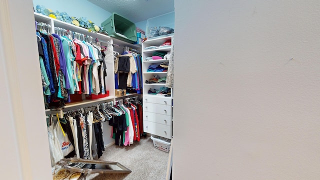 walk in closet with carpet