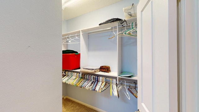 walk in closet featuring carpet floors