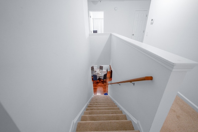 stairway featuring carpet floors